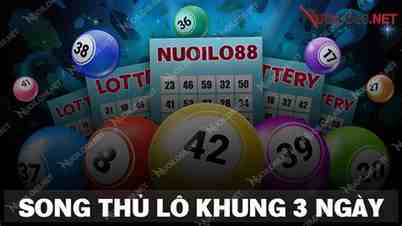 nuoilo 88
