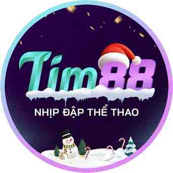 tim 88