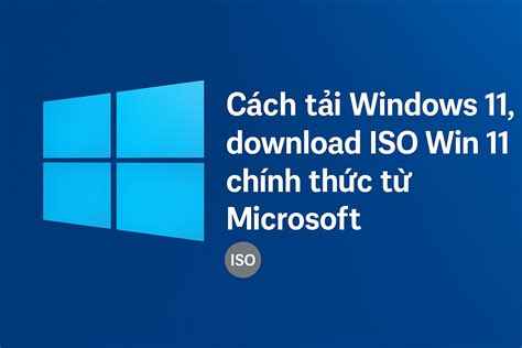 win 11