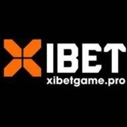 xi bet